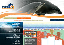 Marine Conservation Society